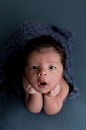 SweetRoseDesNewborn0047