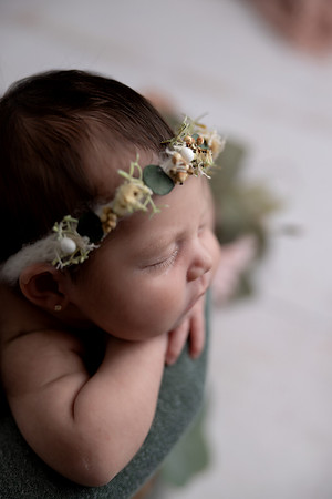 SweetRoseNewbornBlancaM0143