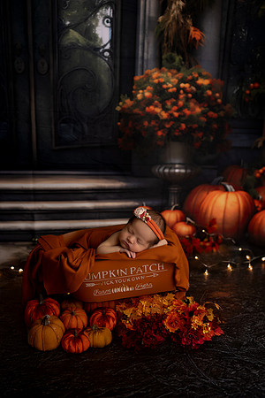 SweetRoseNewbornNicole0017