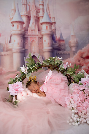 SweetRoseMichaelNeishNewborn0031