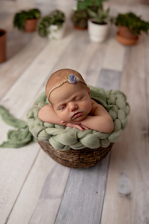 SweetRoseChelseyRidenourNewborn0087