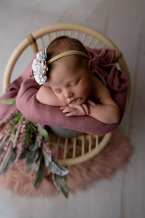 SweetRoseNewbornLauren Brison0056