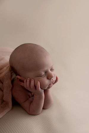 SweetRoseNewborn haleyhowlett0133