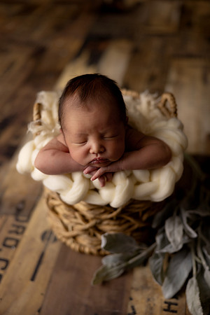 SweetRoseBelleVangNewborn0032
