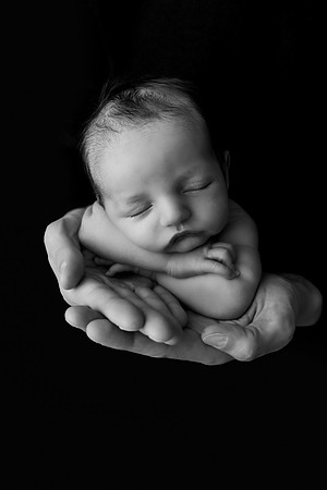 SweetRose_Summer_Newborn0040