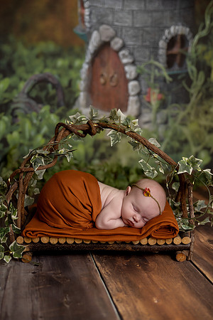 SweetRoseDestinyShadrickNewborn0071
