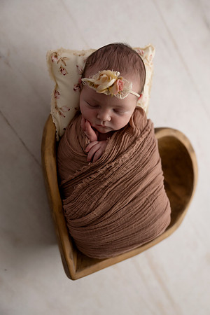 SweetRoseCourtWarNewborn0047