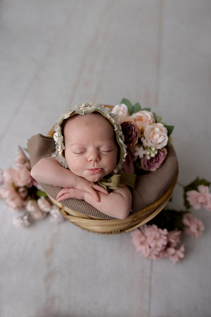 SweetRoseNewborn haleyhowlett0123